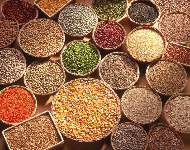 Organic Food items
